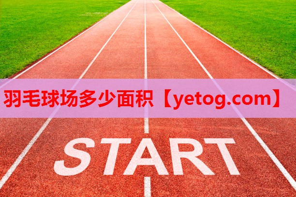 羽毛球场多少面积