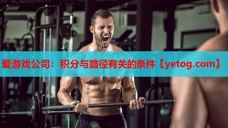 爱游戏公司：积分与路径有关的条件