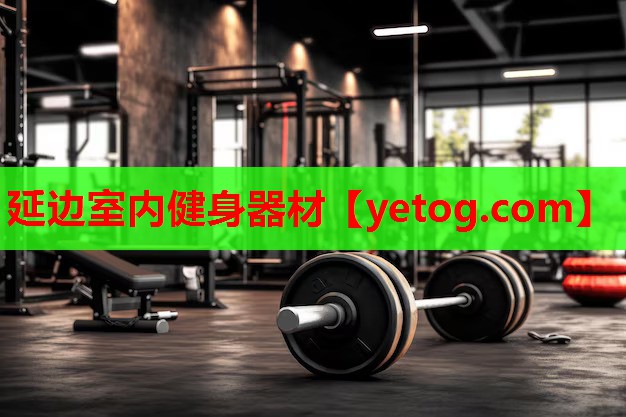 延边室内健身器材