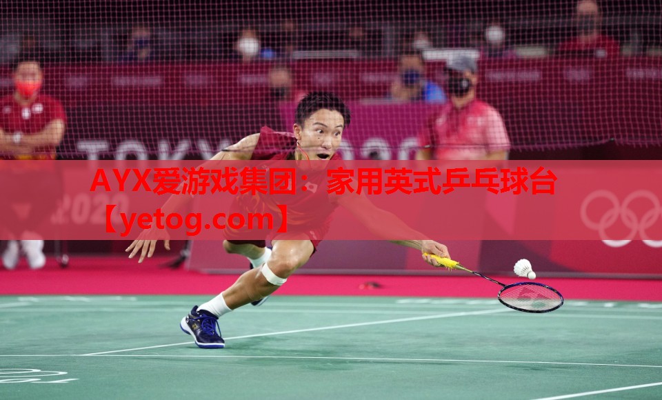 家用英式乒乓球台